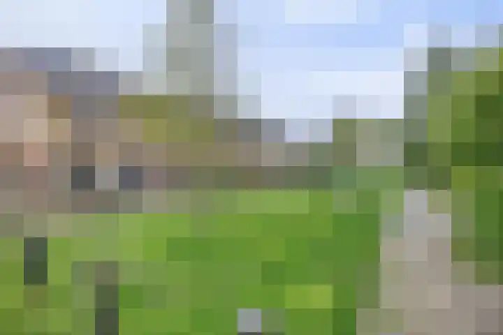 Punterstraat 17 Elburg thumbnail 5
