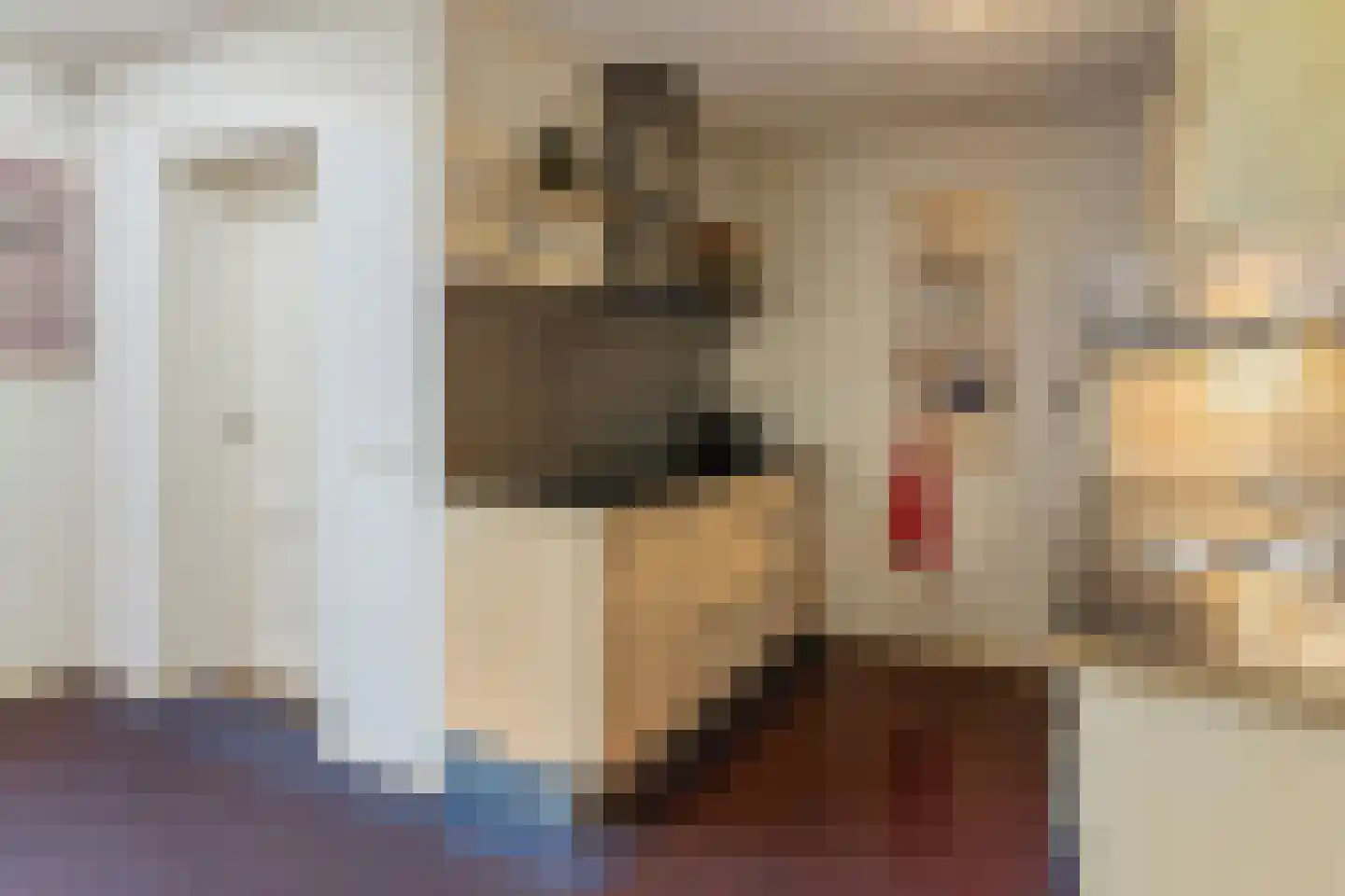 Punterstraat 27 Lemelerveld thumbnail 15