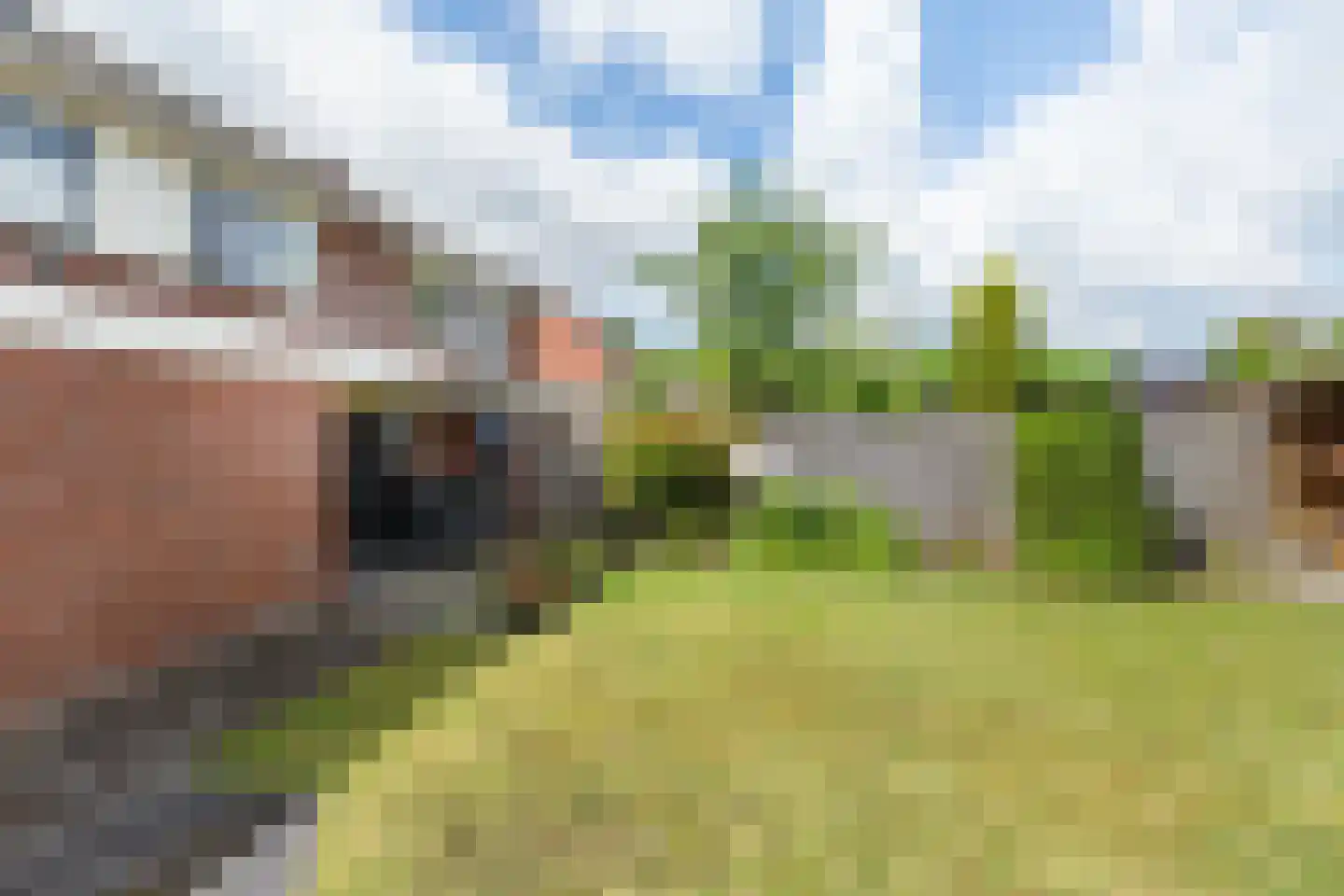 Punterstraat 27 Lemelerveld thumbnail 33