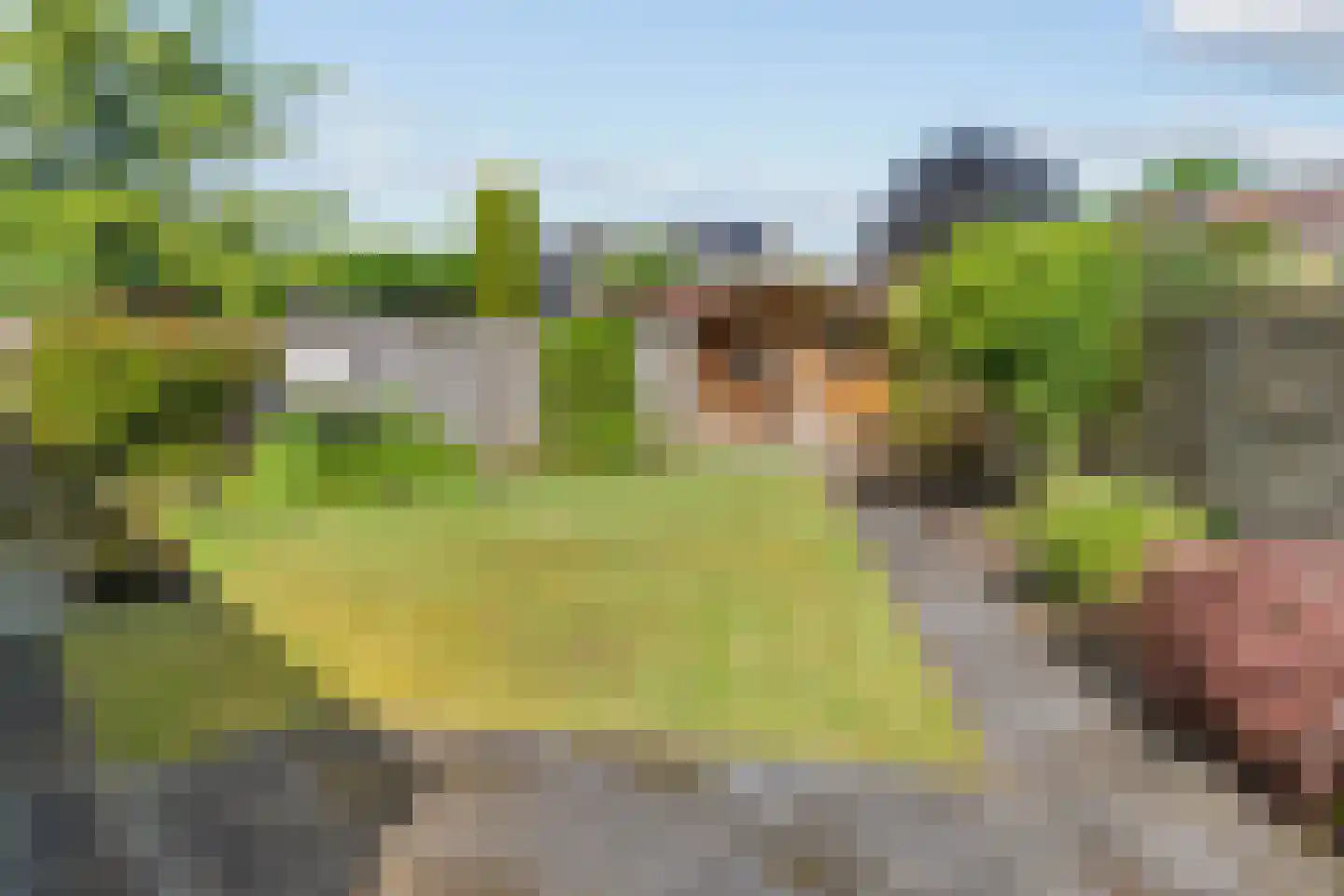 Punterstraat 27 Lemelerveld thumbnail 34