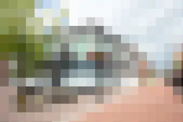 Punterstraat 5 Aalsmeer thumbnail 25