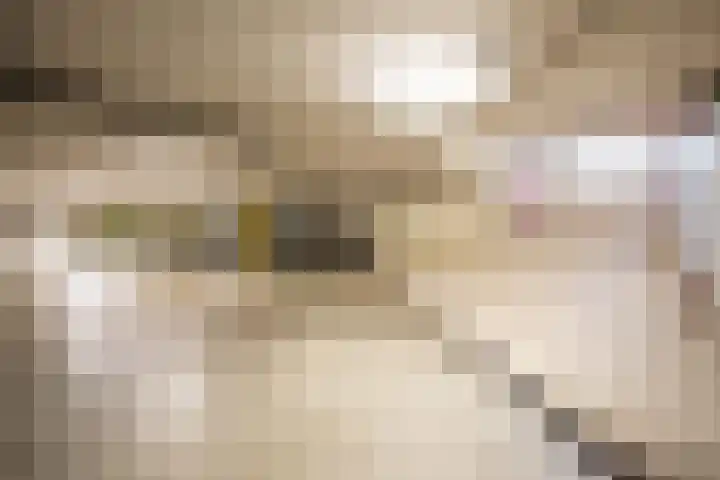 Punterstraat 5 Aalsmeer thumbnail 27