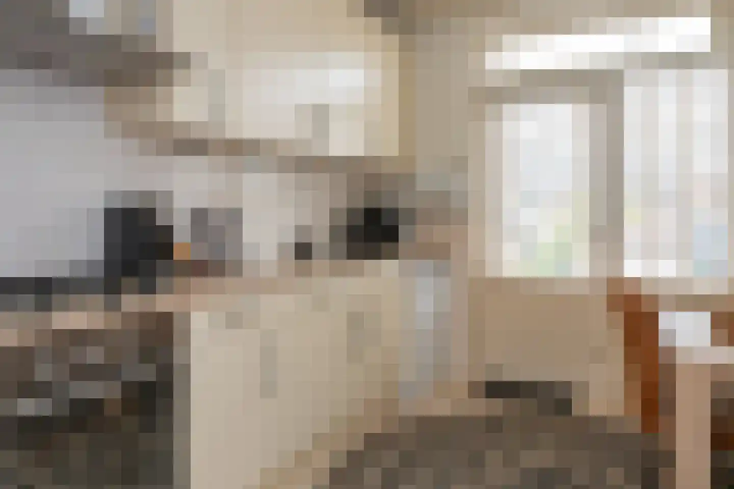 Punterstraat 55 Elburg thumbnail 16
