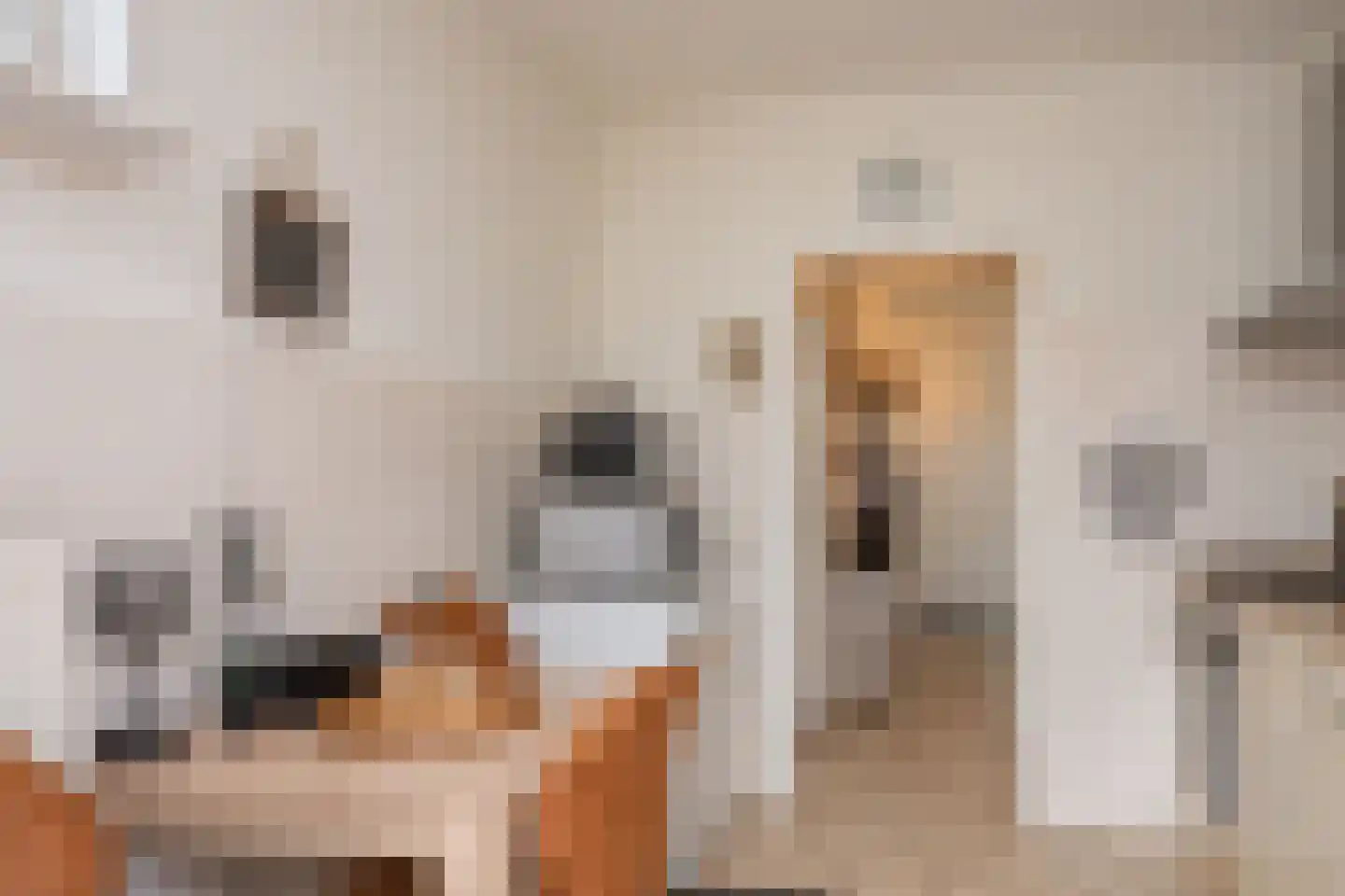 Punterstraat 55 Elburg thumbnail 19