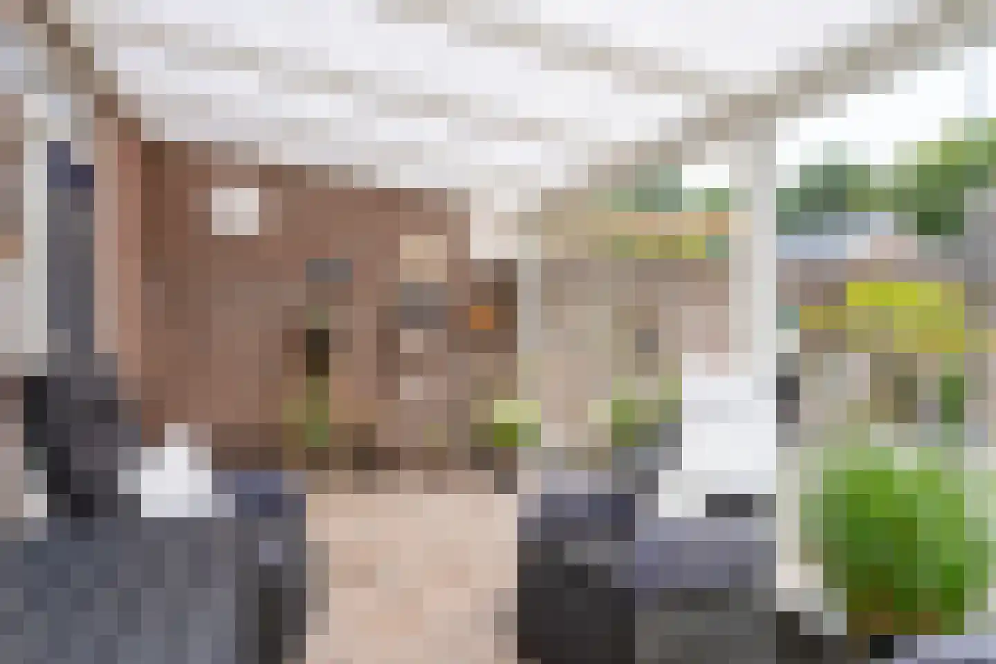 Punterstraat 55 Elburg thumbnail 38