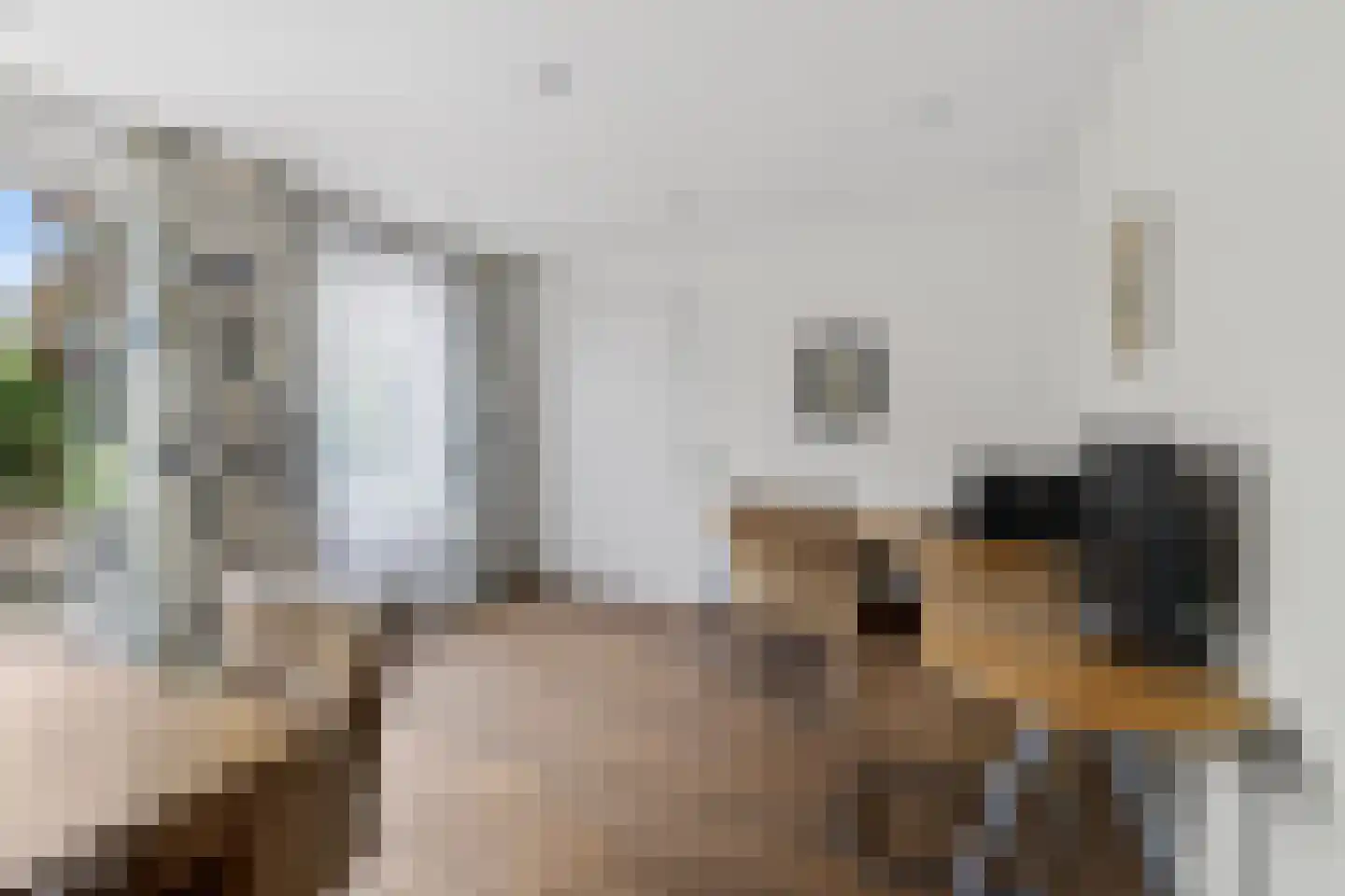Punterstraat 7 Lemelerveld thumbnail 11