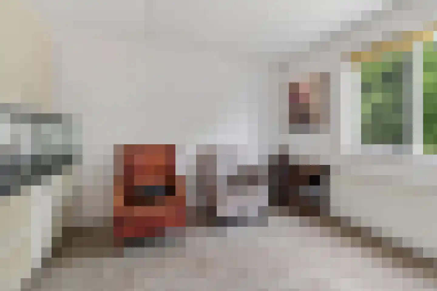 Punterstraat 7 Lemelerveld thumbnail 19