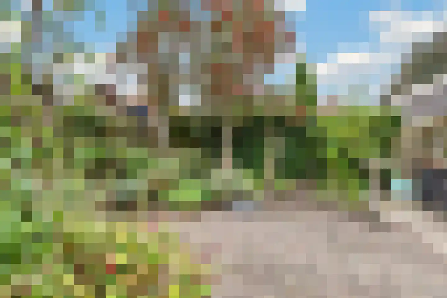 Punterstraat 7 Lemelerveld thumbnail 29