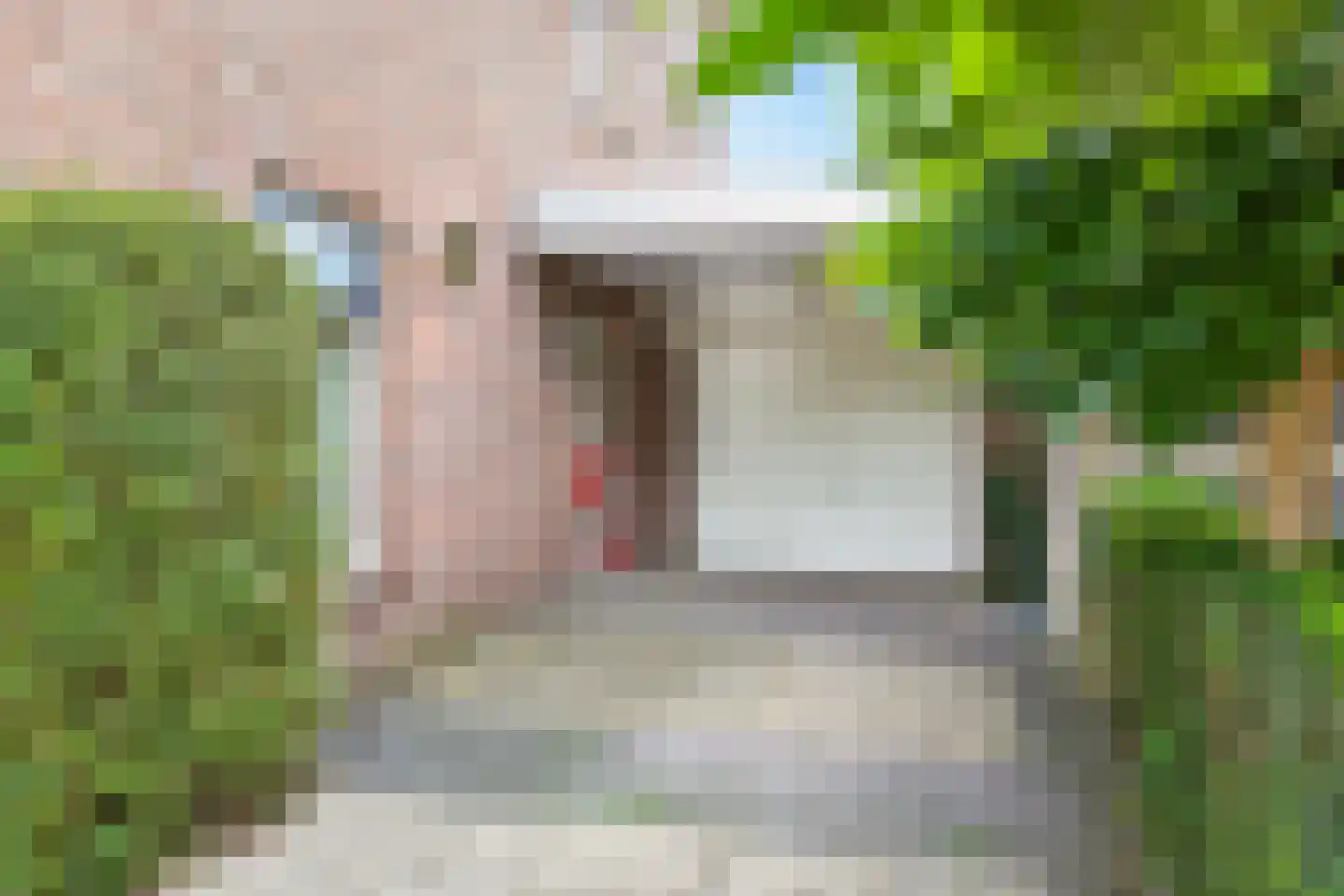 Punterstraat 7 Lemelerveld thumbnail 32