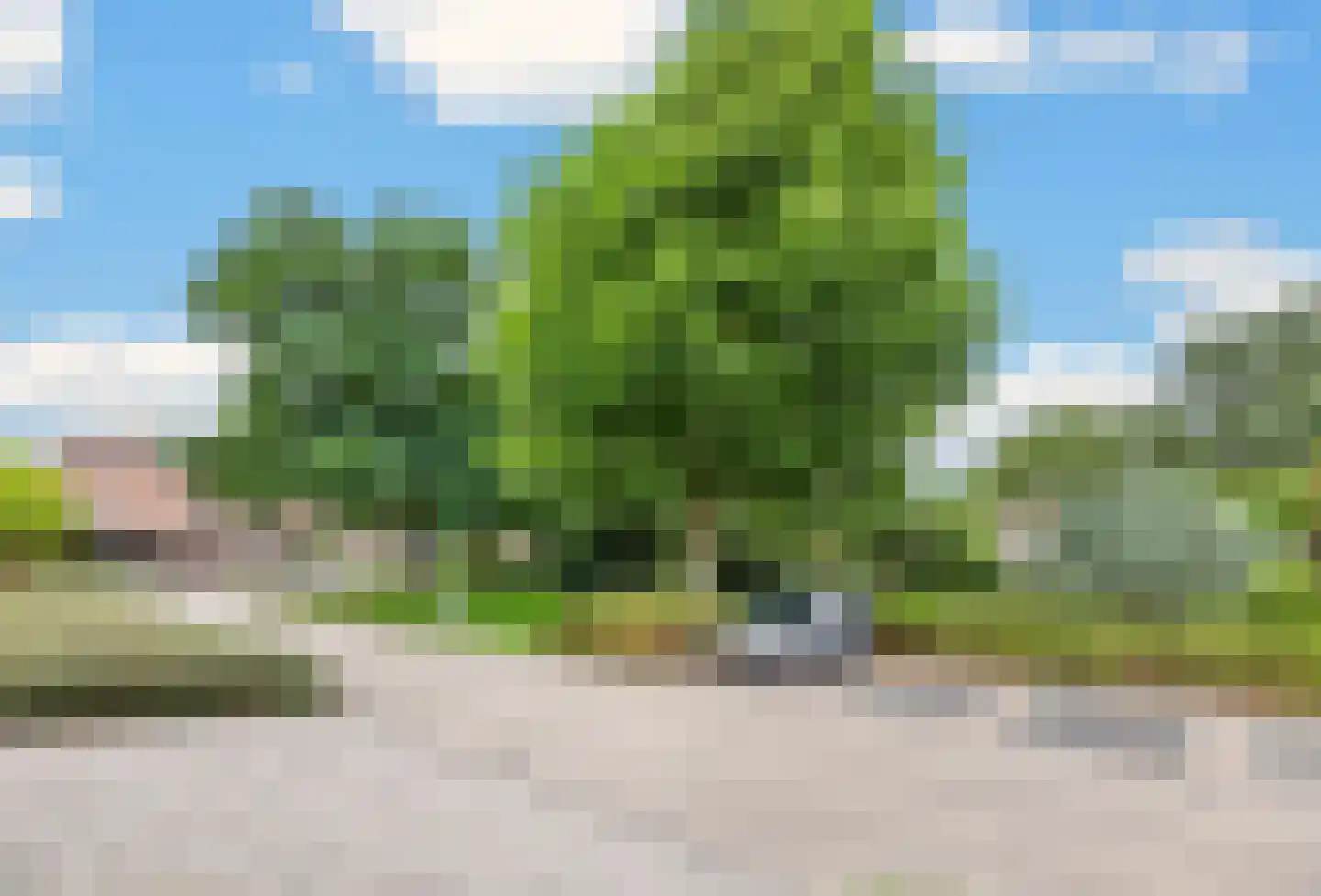 Punterstraat 7 Lemelerveld thumbnail 34