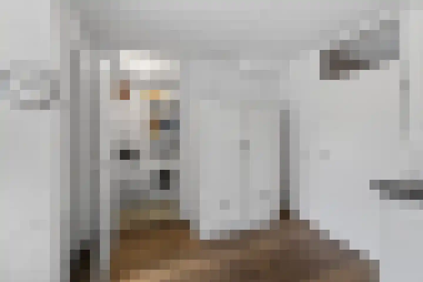 Punterstraat 7 Lemelerveld thumbnail 9