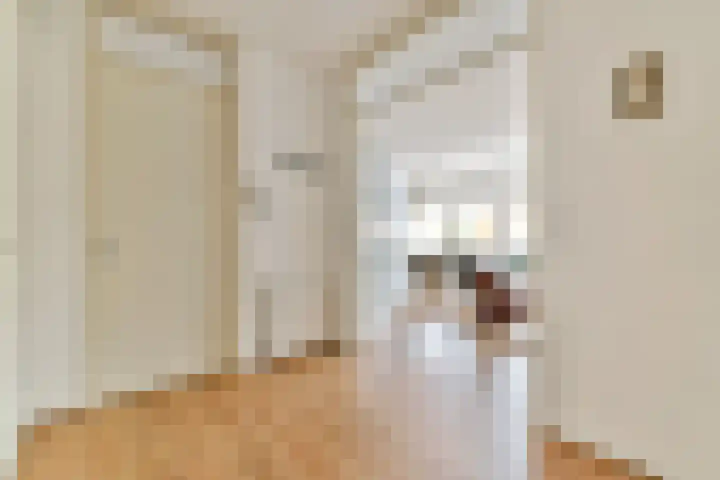 Punterstraat 9 Aalsmeer thumbnail 10