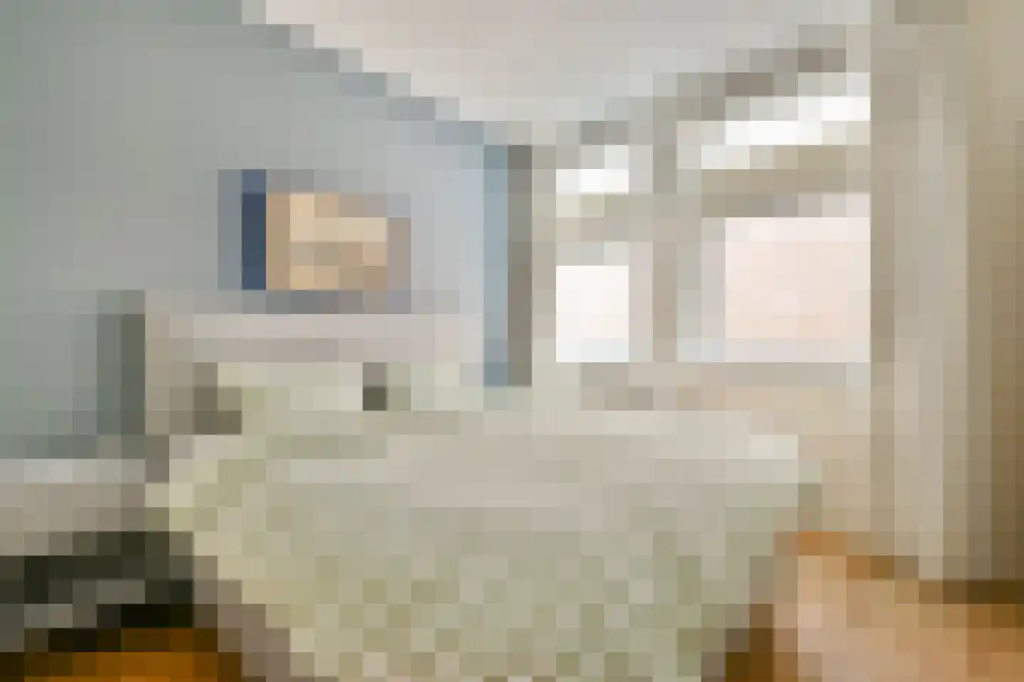 Punterstraat 9 Aalsmeer thumbnail 11