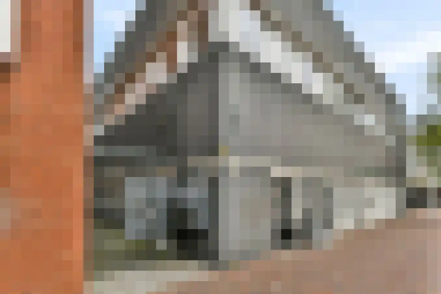 Punterstraat 9 Aalsmeer thumbnail 21