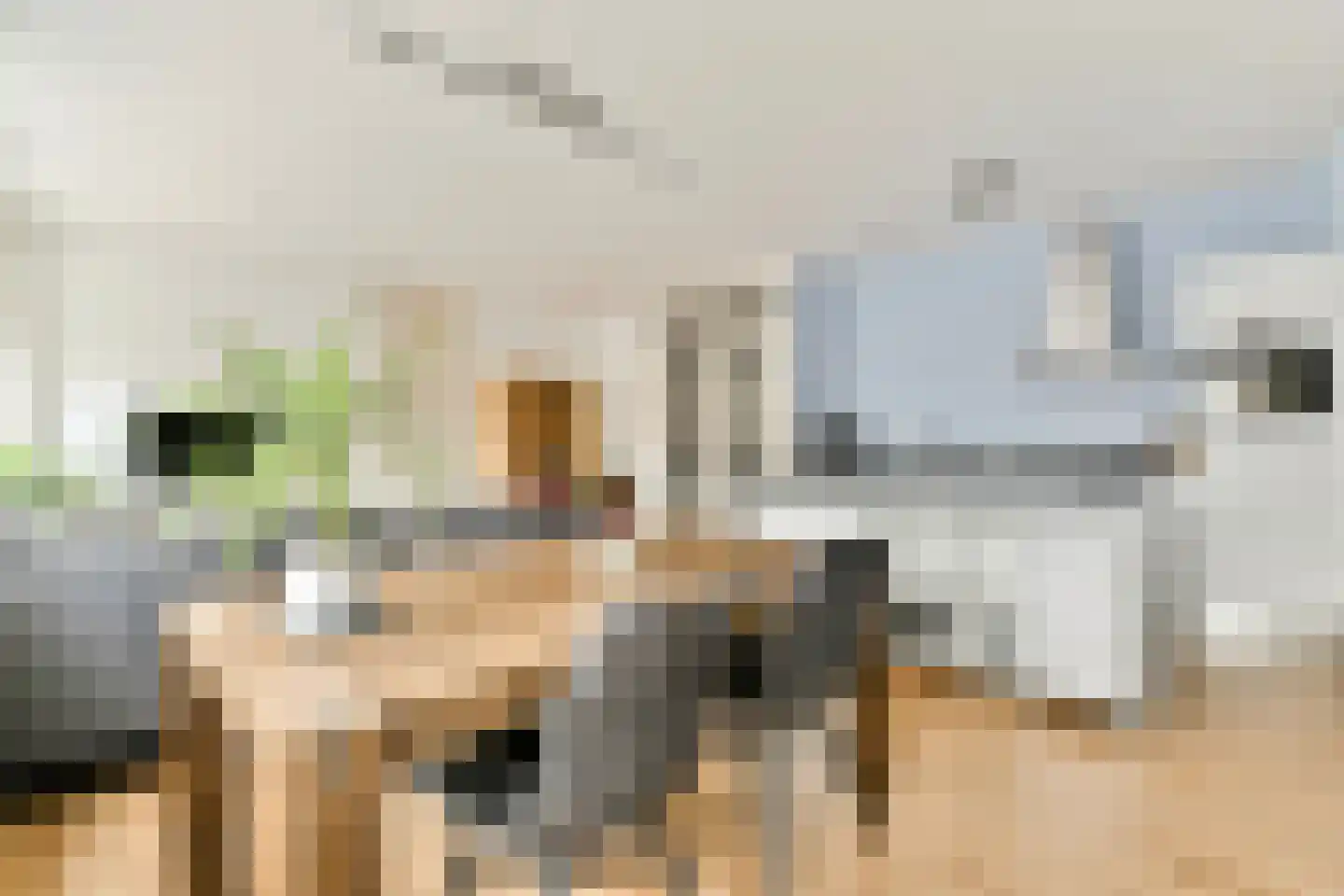 Punterstraat 9 Aalsmeer thumbnail 5