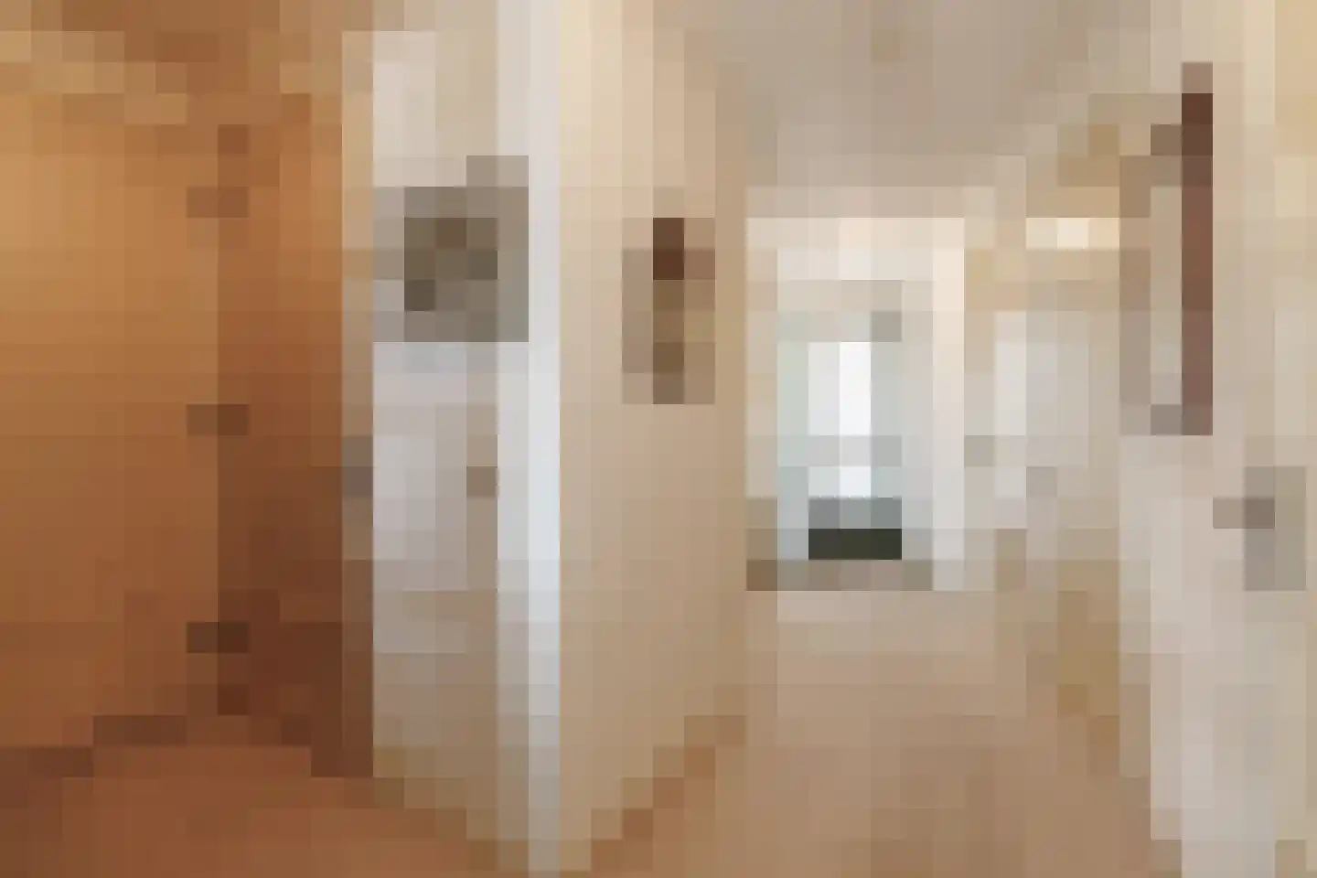 Puntkolk 18 Vroomshoop thumbnail 8
