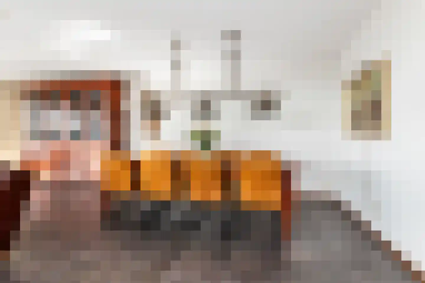 Puntkroos 109 Zwolle thumbnail 27