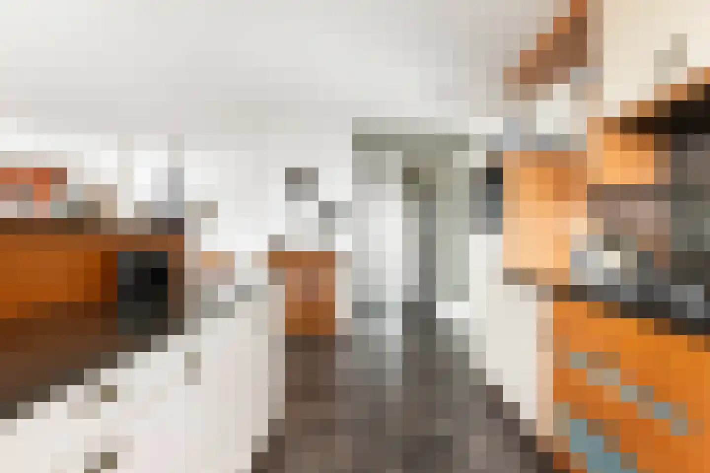 Puntkroos 109 Zwolle thumbnail 30