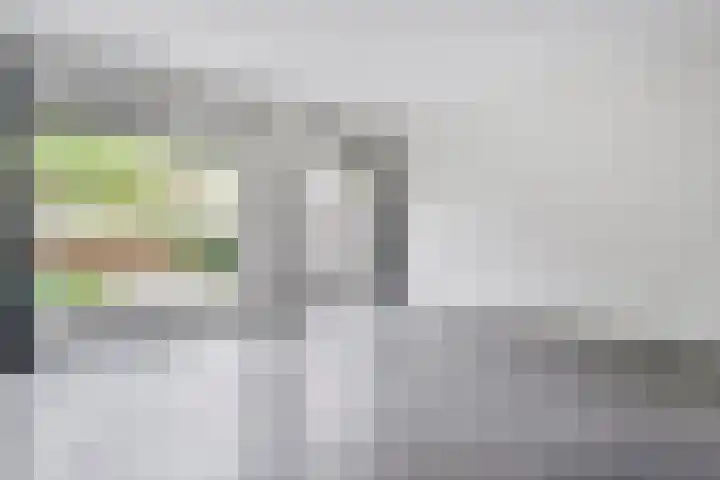 Puntkroos 17 Zwolle thumbnail 11