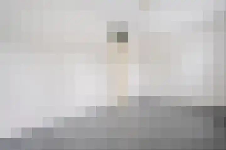 Puntkroos 17 Zwolle thumbnail 15