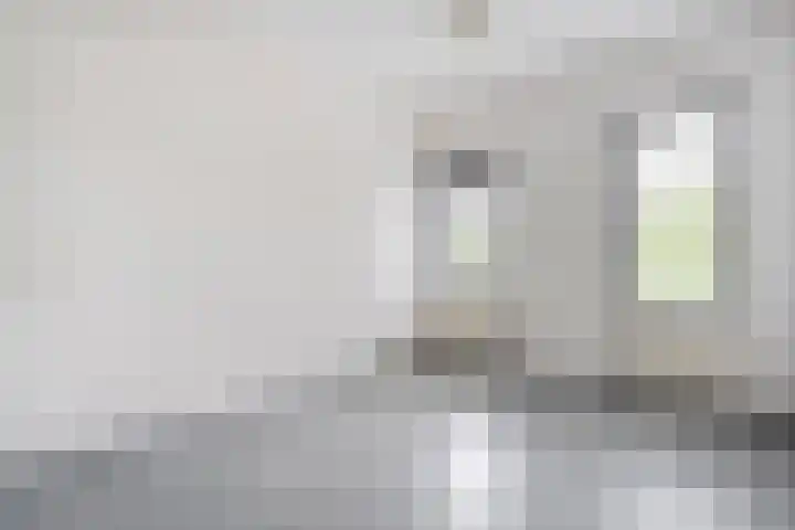 Puntkroos 17 Zwolle thumbnail 18
