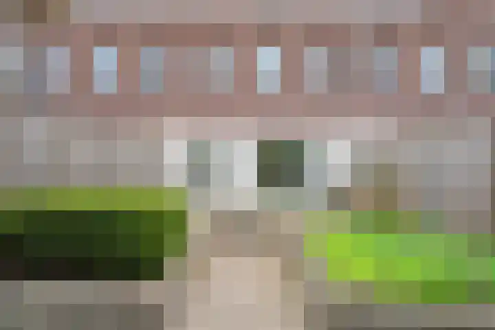 Puntkroos 17 Zwolle thumbnail 23