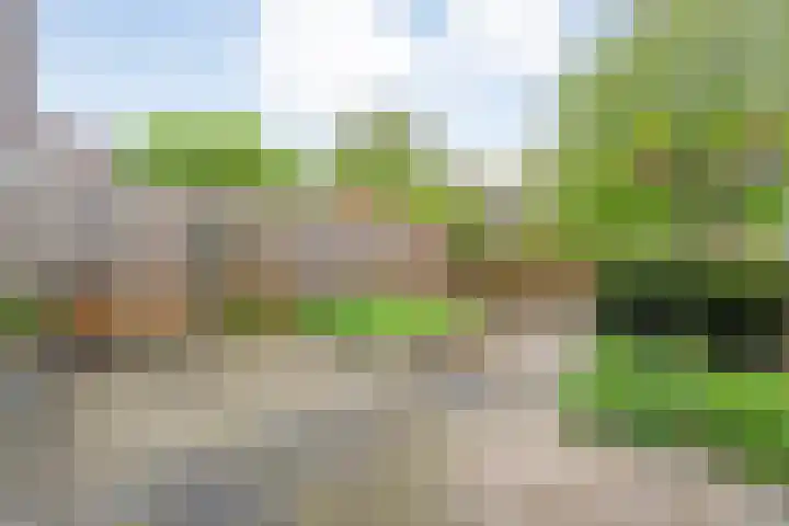 Puntkroos 17 Zwolle thumbnail 24