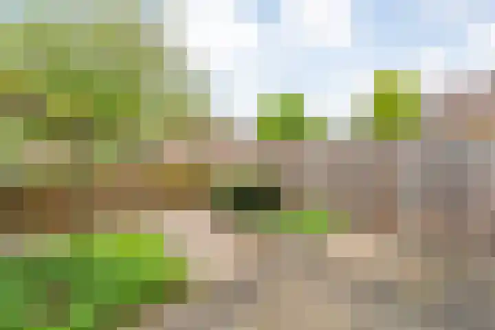 Puntkroos 17 Zwolle thumbnail 25