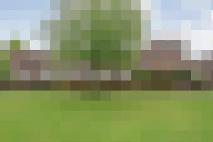 Puntkroos 17 Zwolle thumbnail 26