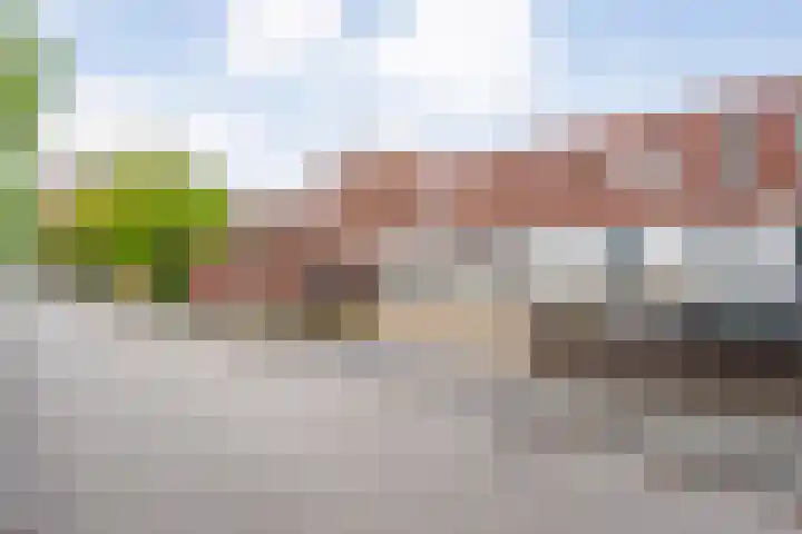 Puntkroos 17 Zwolle thumbnail 29