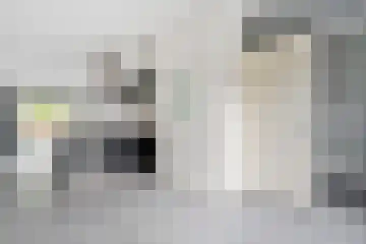 Puntkroos 17 Zwolle thumbnail 6