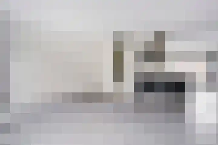 Puntkroos 17 Zwolle thumbnail 7