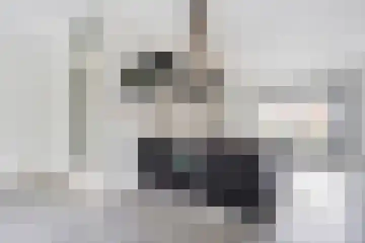 Puntkroos 17 Zwolle thumbnail 8