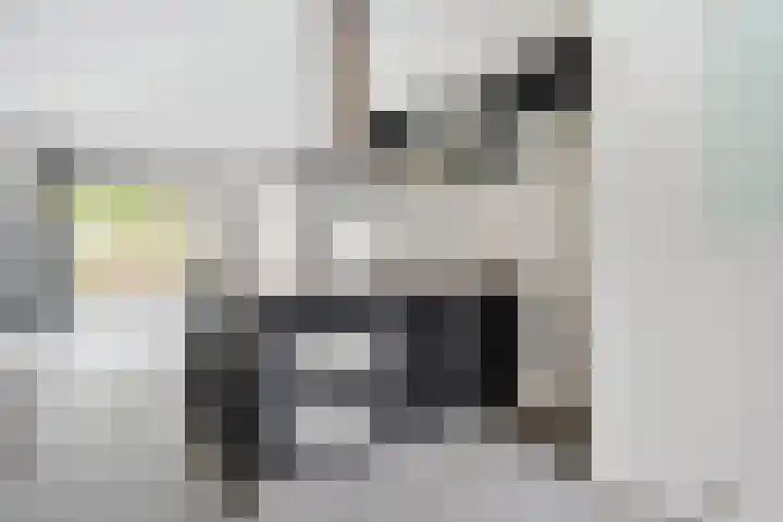 Puntkroos 17 Zwolle thumbnail 9