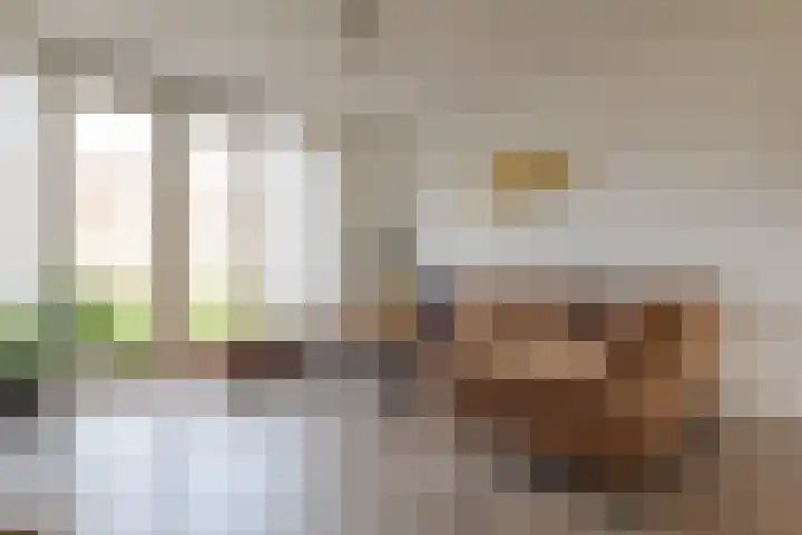 Puntkroos 44 Zwolle thumbnail 10