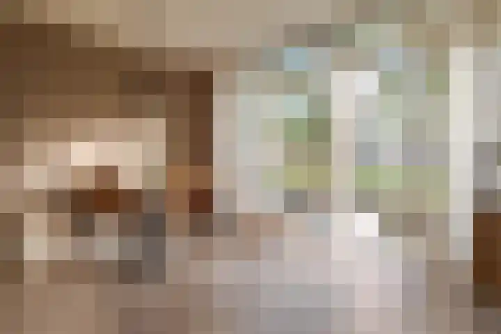 Puntkroos 44 Zwolle thumbnail 15