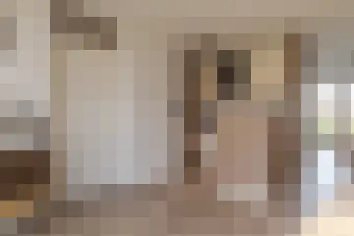 Puntkroos 44 Zwolle thumbnail 17