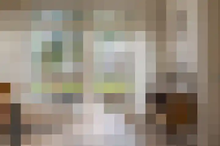 Puntkroos 44 Zwolle thumbnail 21