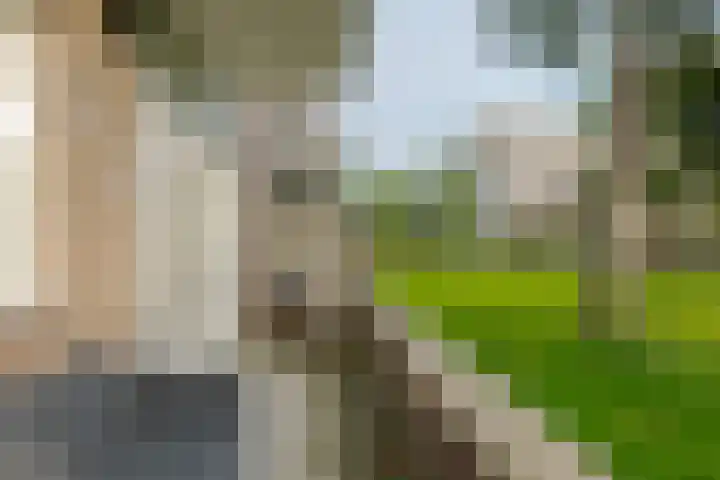 Puntkroos 44 Zwolle thumbnail 23