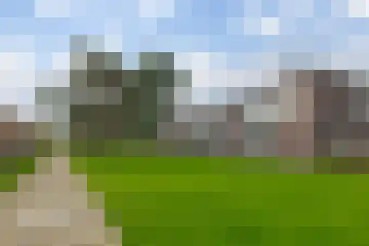 Puntkroos 44 Zwolle thumbnail 25