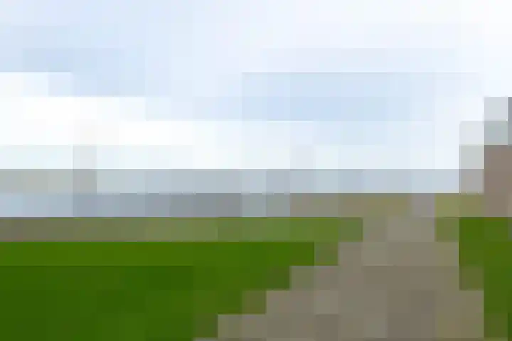 Puntkroos 44 Zwolle thumbnail 27
