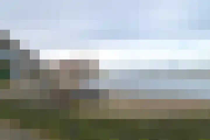Puntkroos 44 Zwolle thumbnail 28