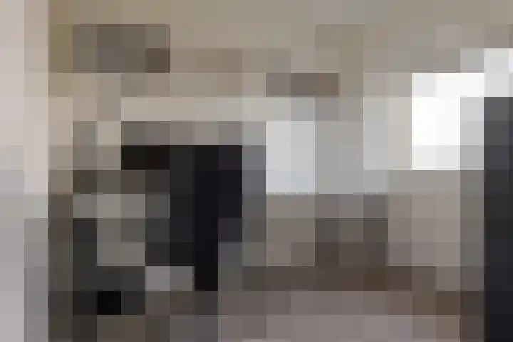 Puntkroos 44 Zwolle thumbnail 34