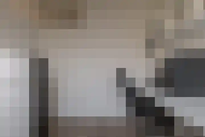 Puntkroos 44 Zwolle thumbnail 36