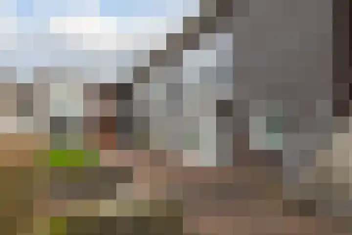 Puntkroos 44 Zwolle thumbnail 38