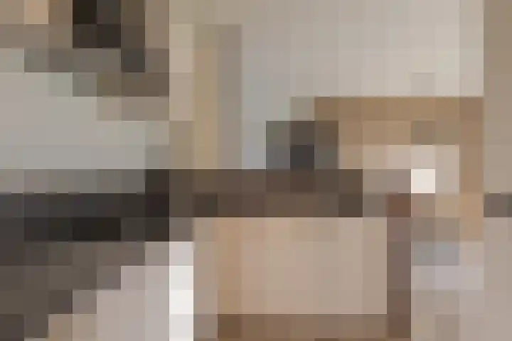 Puntkroos 44 Zwolle thumbnail 4