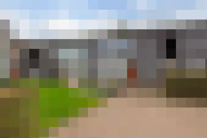 Puntkroos 44 Zwolle thumbnail 40