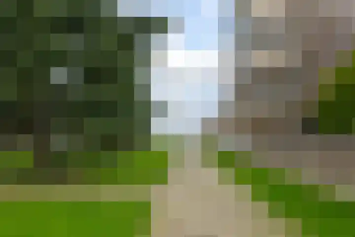Puntkroos 44 Zwolle thumbnail 5