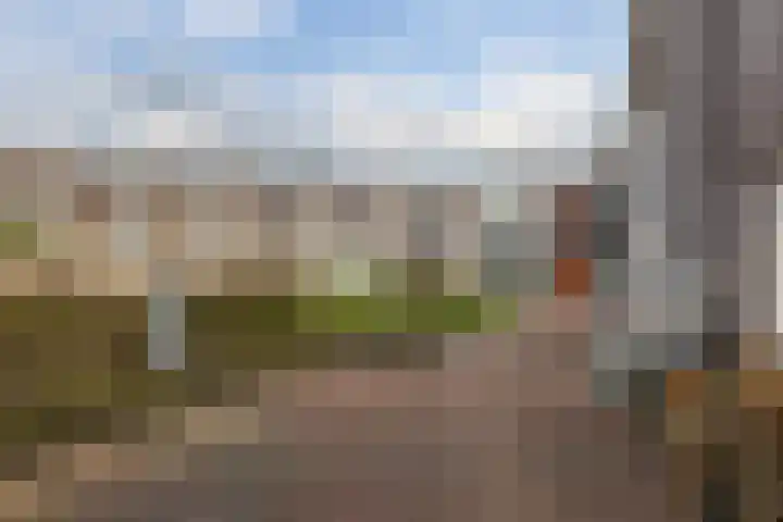 Puntkroos 44 Zwolle thumbnail 6