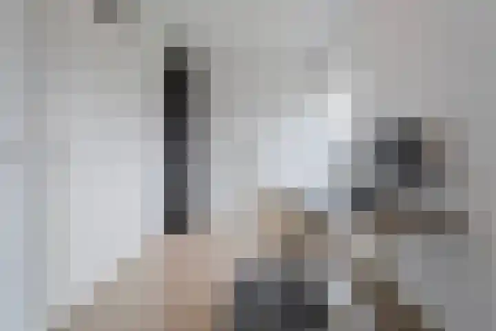 Puntkroos 56 Zwolle thumbnail 11